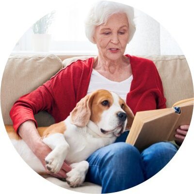 How Pet Therapy Can Benefit Seniors How Pet Therapy Can Benefit Seniors