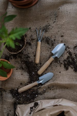 Gardening Tools For Active Seniors Gardening Tools For Active Seniors