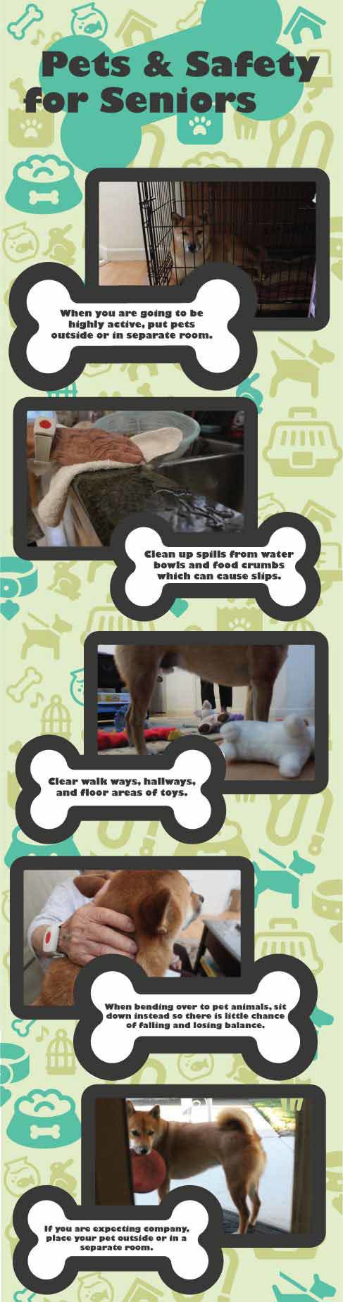 Pets & Safety for Seniors Pets & Safety for Seniors