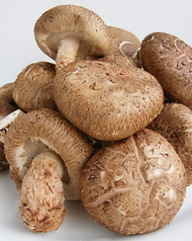 Shiitake mushrooms Shiitake mushrooms
