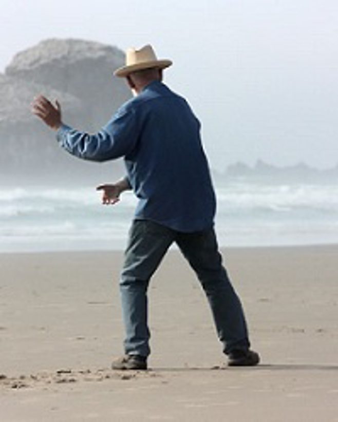 tai-chi tai-chi