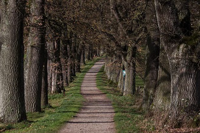 walking path walking path