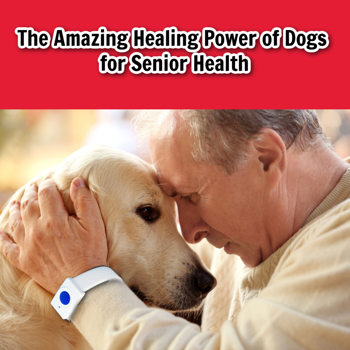 The Amazing Healing Power of Dogs for Senior Health The Amazing Healing Power of Dogs for Senior Health