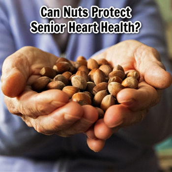 nuts and senior heart health nuts and senior heart health