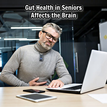 Gut Health in Seniors Affects the Brain Gut Health in Seniors Affects the Brain