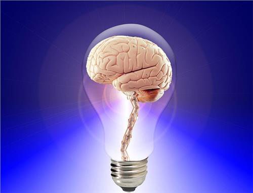 Brain Brain