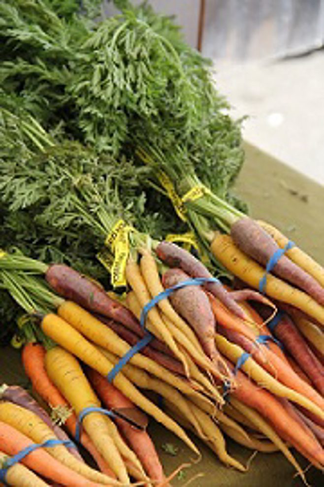organic carrots 
