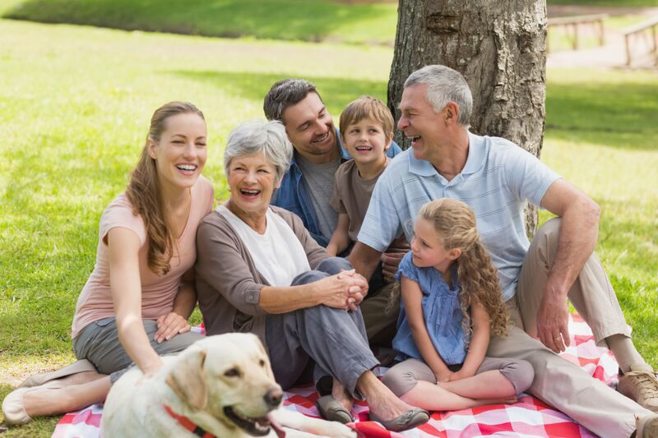 whole family on picnic blanket whole family on picnic blanket