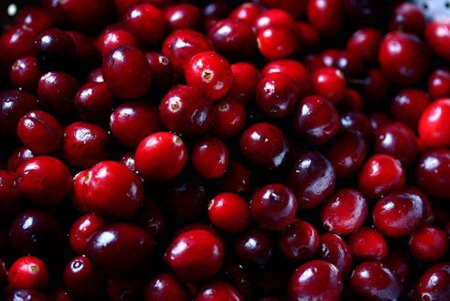 Cranberries Cranberries