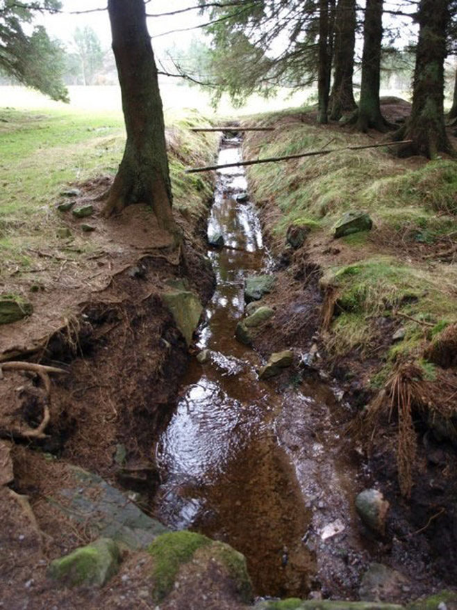 ditch in the forest ditch in the forest