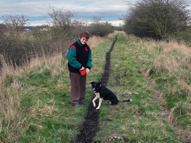 senior walking dog senior walking dog