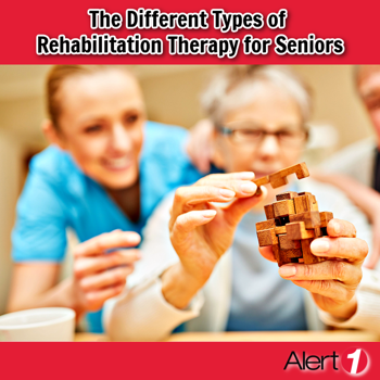 The Different Types of Rehabilitation Therapy for Seniors The Different Types of Rehabilitation Therapy for Seniors