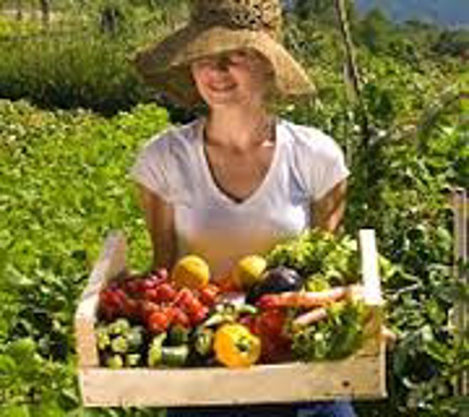 lady holding veg basket