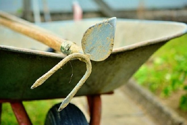 gardening supplies when using mobile fall alert outdoors gardening supplies when using mobile fall alert outdoors
