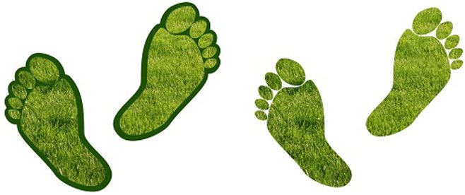 green footprint green footprint