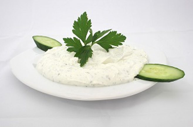 greek yogurt dip.medical alert system greek yogurt dip.medical alert system