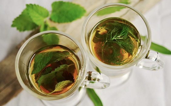 Two cups of herbal tea with mint Two cups of herbal tea with mint