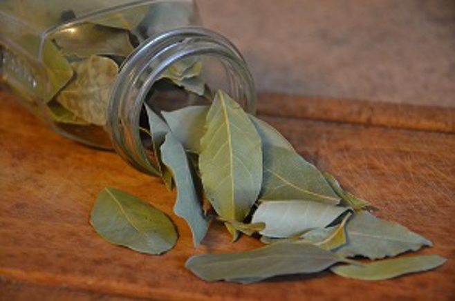 bay leaves bay leaves