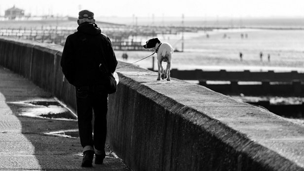 senior man walking dog next to ocean while using mobile medical alert senior man walking dog next to ocean while using mobile medical alert