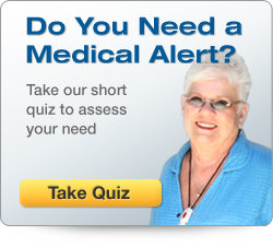 Quiz Quiz
