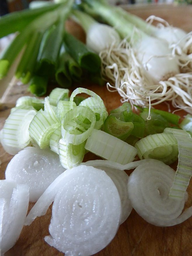 green onions green onions