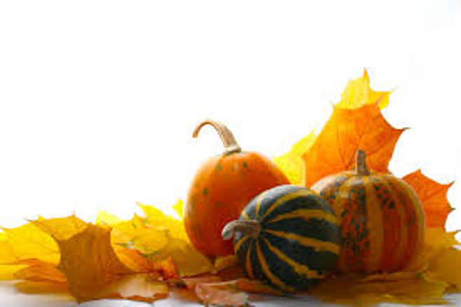 pumpkins and fallen leaves