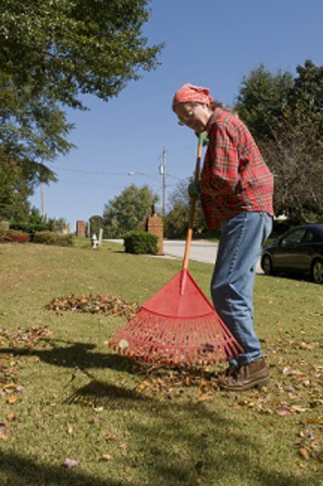 senior yard work