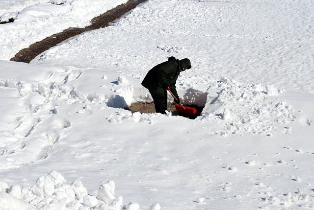 shoveling snow shoveling snow