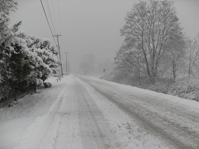 Snowy road Snowy road
