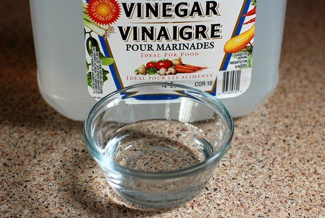 white vinegar in cup white vinegar in cup