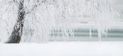 Winter landscape.alert1 medical alert systems Winter landscape.alert1 medical alert systems