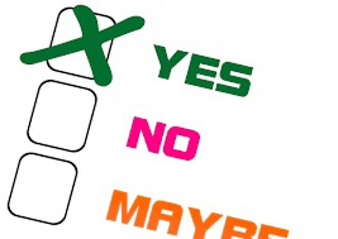 Check-box with 'yes' selected Check-box with 'yes' selected